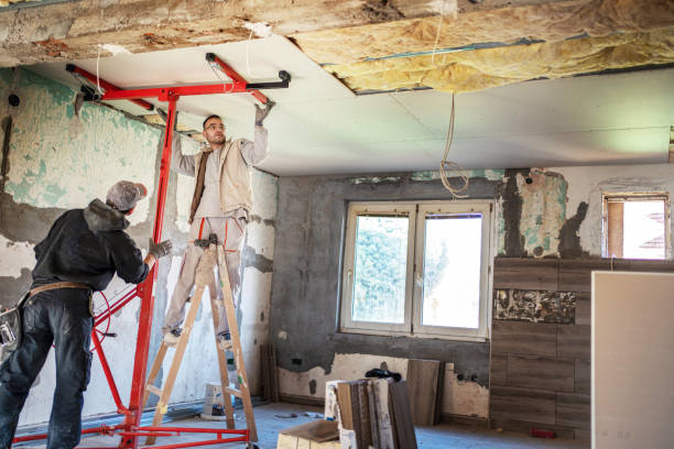 Best Commercial Insulation Services  in Pleasant Hill, MO