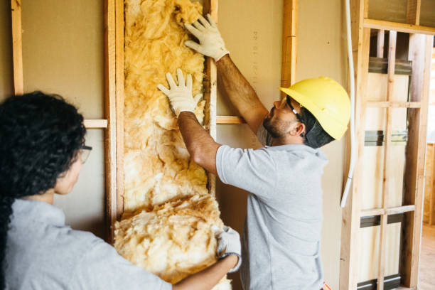 Best Insulation for New Construction  in Pleasant Hill, MO